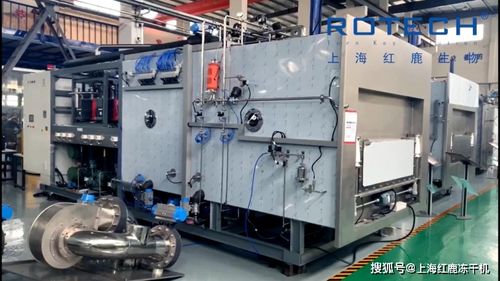 凍干機(jī)在制藥與食品領(lǐng)域的差異及箱包代理銷(xiāo)售模式解析